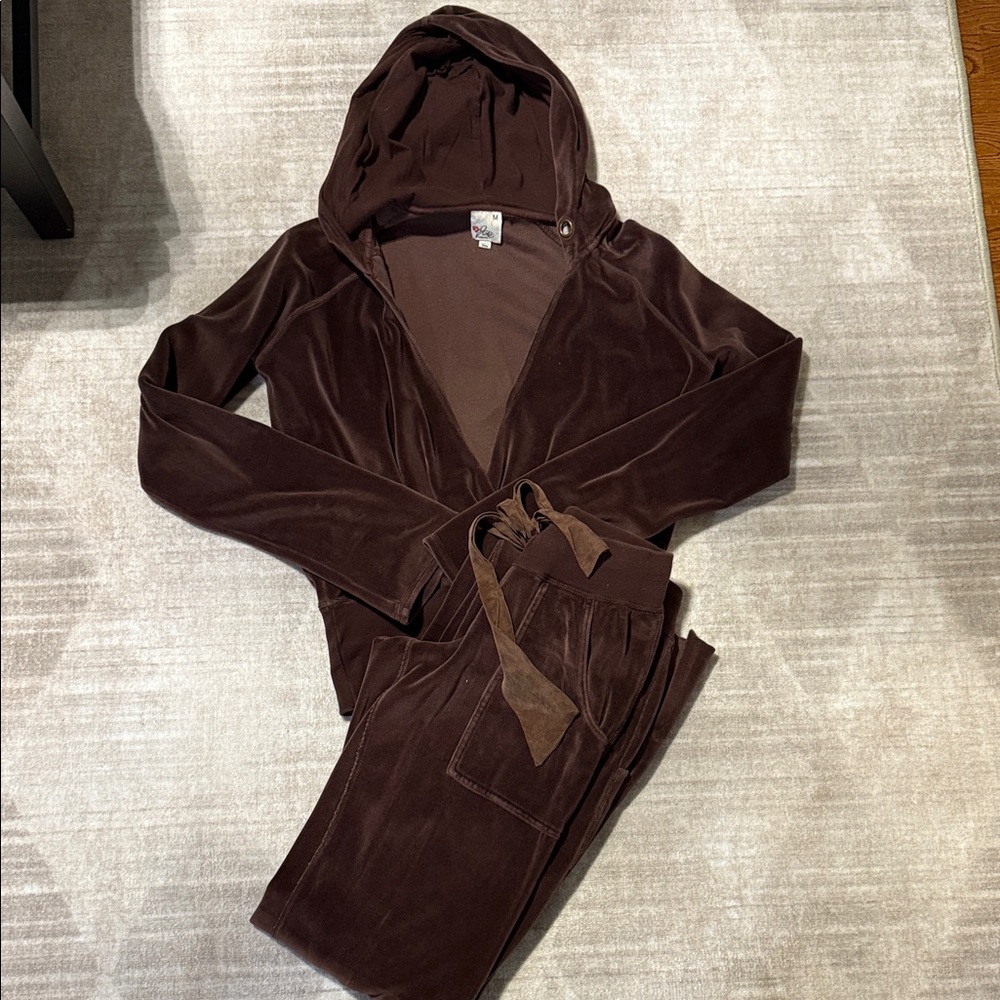 Joie Brown Velour Hoodie and Pants Set
